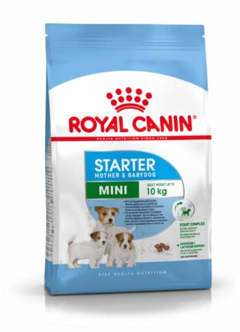 Royal Canin Hundefutter Mini Starter 3 kg, 1er Pack (1 x 3 kg)