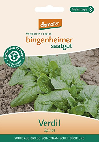 Bingenheimer Saatgut - Spinat Verdil - Gemüse Saatgut / Samen