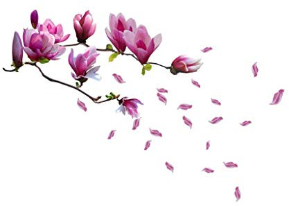 Huge Magnolia Flowers Mural Art Decal Wall Stickers- Removable and Repositionable - Living Room Deluxe Decal