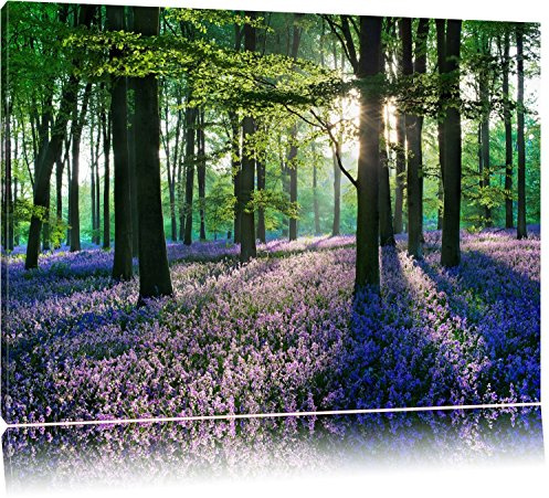 Wandbilder Lavendel im Wald 120x80cm Ruhe Stille Harmonie Bilder fertig gerahmt auf Keilrahmen xxl. Kunstdruck auf Leinwand.