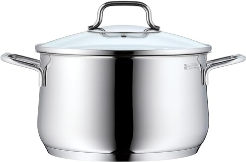 WMF Brilliant Kochtopf groß 24cm, Glasdeckel, Fleischtopf Induktion 6,5l, Cromargan Edelstahl satiniert matt, unbeschichtet