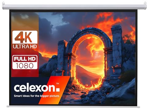celexon Basic Motor-Leinwand 110 | 200x200 cm 1:1 | elektrische Full-HD 4K Beamer-Leinwand für Heimkino oder Büro-Präsentationen | geeigent zur Deckenmontage oder Wandmontage | inkl. Fernbedienung