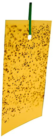 Yellow Sticky Traps Greenhouse Whitefly Fly Traps