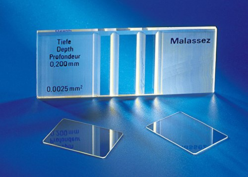 MARIENFELD 140501