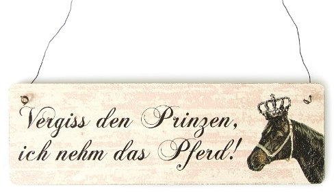 Interluxe Shabby Vintage Schild Türschild VERGISS DEN Prinzen, ICH NEHM DAS Pferd witziges Mitbringsel Holzschild Dekoration