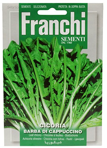 Franchi Chicory Barba Di Cappuccino