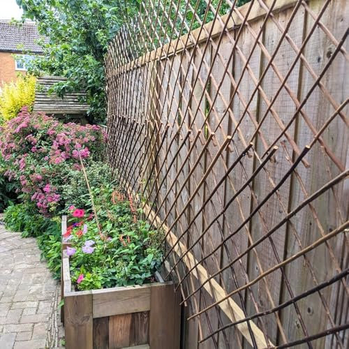 Xs Exp Willow Trellis 1.8x0.6m