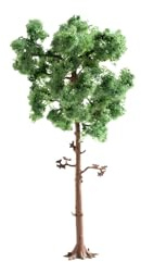 NOCH Kiefer, realistischer Baum mit natürlicher Beflockung, 15 cm hoch für die Spurweiten H0, TT und N