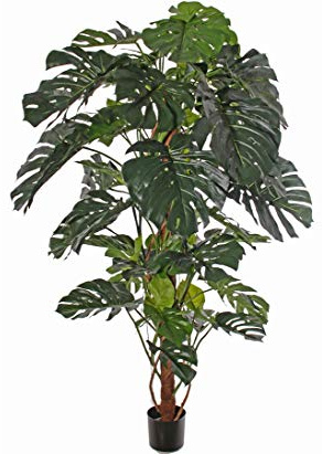Große künstliche Monstera deliciosa Köstliches Fensterblatt ca. 190cm hoch mit Echtholzstamm und echtem Palmfasermaterial sowie 64 Blättern im Topf