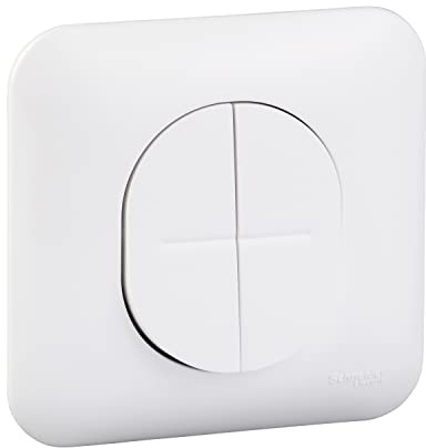 Schneider Electric S260214 Ovalis - double va-et-vient - 10AX - Blanc RAL9003 - fixation par vis