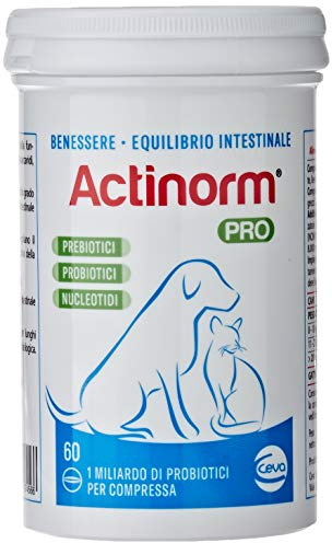 Actinorm Pro - Bioregolatore naturale della funzionalità intestinale per cani e gatti, 60 Compresse
