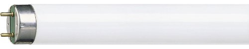 Philips Master TL-D Super 80 36W - Fluorescent Lamps (36W, T8, G13, A, 103V, 0.440A)