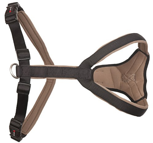 WOLTERS - Geschirr Professional Comfort - 45-50cm x 25mm - schwarz/braun