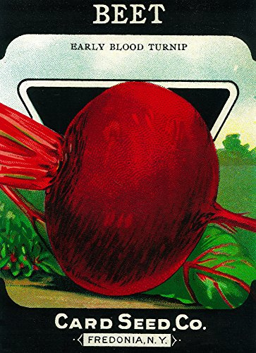Lantern Press Beets Seed Packet (12x18 Art Print, Travel Poster Wall Decor)