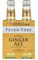 FEVER TREE Fieberbaum-Tonikum Giner Ale 4 x 20 cl