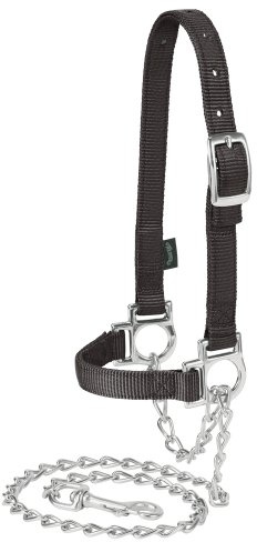 Weaver Leather Livestock Nylon Adjustable Sheep Halter with Chain Lead, Black