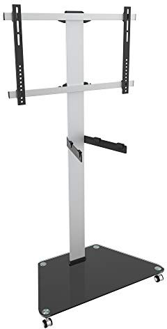 RICOO TV Ständer rollbar FS0300 Stand Fernsehständer mit Rollen für 30-65 Zoll Standfuss mit Ablage Standfüße bis 30 kg smart OLED Curved Rollwagen Fernseher mobil Bodenständer VESA 600 x 400