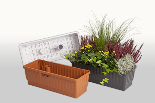 Techno XXL Blumenkasten mit Bew. Venezia 60 cm Terra