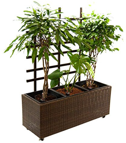 Elegant Einrichten Pflanzkübel, Pflanztrog Polyrattan mit Rankgitter 82x30x100cm Mocca.