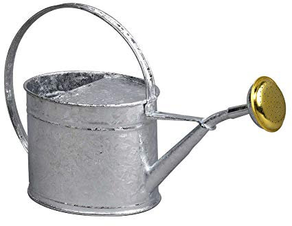 GUILLOUARD 80320 Arrosoir, Gris, Neutre