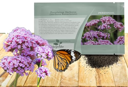 Outsidepride Purpletop Verbena Seeds for Planting - 5000 Pcs. Annual, Drought Tolerant & Easy to Grow, Ground Cover with Fragrant & Vibrant Blooms for Containers, Borders & Pollinator Gardens