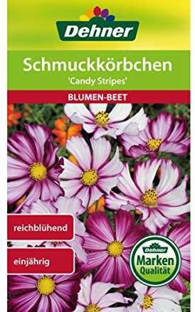 Dehner Blumen-Saatgut, Schmuckkörbchen, Candy Stripes, 5er pack (5 x 1.5 g)