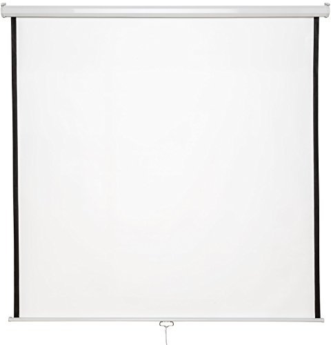 TecTake® Schermo per Proiezione, Home Cinema, Telo per Videoproiettore, Schermo Proiettore Treppiede, HDTV, Doppio Strato, 360 g/m², Angolo Visione 125°, Contrasto Elevato - 178x178cm, 99