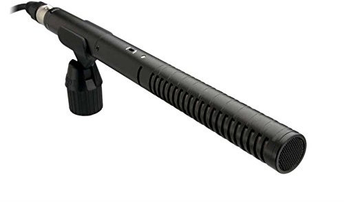 RØDE NTG2 Microfono a Condensatore Supercardioide Multi-Alimentato Premium per Registrazione in Location, Foley e Voice Overs