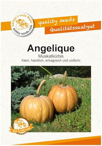 Angelique Kürbissamen von Bobby-Seeds, Portion