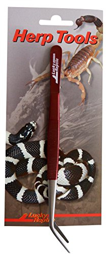 Lucky Reptile Futterpinzette, abgewinkelt, Länge:20 cm