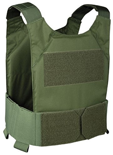 Warrior Covert Plate Carrier Oliv, Oliv