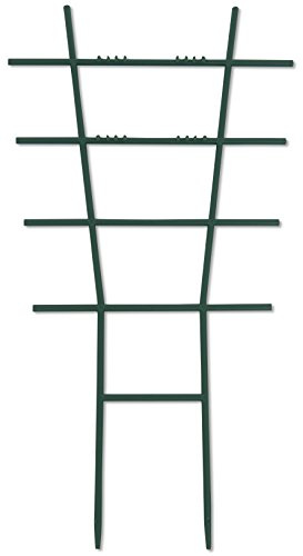 Windhager 5710 - Plástica de Soporte de Flores, Rectas, Verde, 25,5 x 15 cm