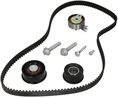 INA 530 0443 10 kamrem kit