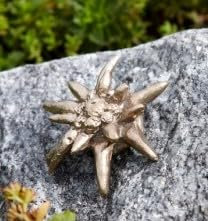 Rottenecker Bronzefigur, Skulpturen, Edelweiß klein, Silber patiniert 5x6 cm