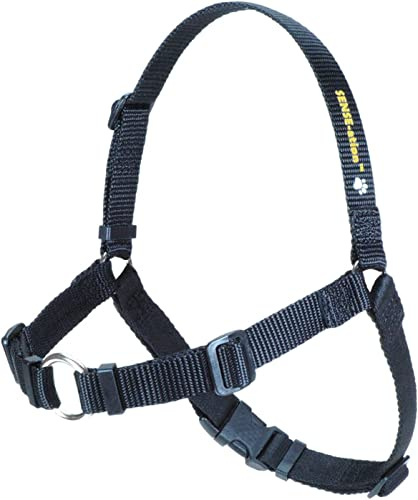Sense-ation No-Pull Dog Harness, Medium/Large 1 in, Black