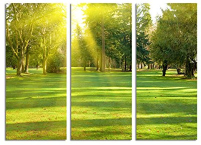 Paul Sinus Art 130x90cm – Keilrahmenbild grüne Wiese Park Sonnenschein 3teiliges Wandbild auf Leinwand und Keilrahmen - Fotobild Kunstdruck Artprint