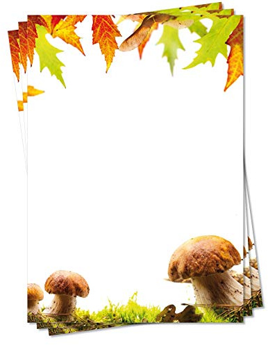Motiv Briefpapier (Herbst-5128, DIN A4, 100 Blatt) grün braun herbstliche Waldwiese mit Steinpilzen und buntes Ahorn-Laub Gras Motivpapier Laub Blätter