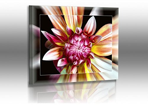 Premium - Poster - Fotos - Naturbilder - Blumenfotos - Blume - Bild - Dahlie - Exotische Blumen - Posterdruck (120 cm x 90 cm)
