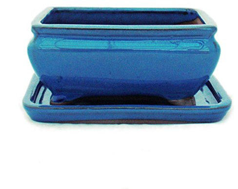 exotenherz - Bonsai-Schale mit Unterteller Gr. 2 - Blau - eckig - Modell G81 - L 14,5cm - B 11,3cm - H 6,6cm