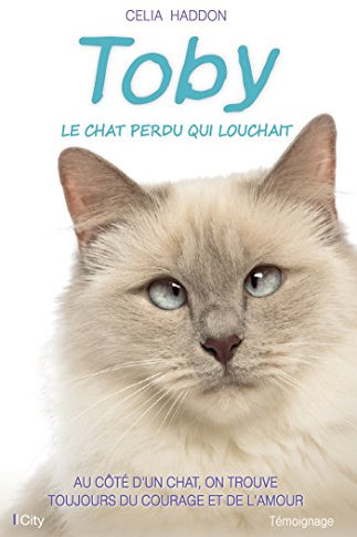 Toby, le chat perdu qui louchait