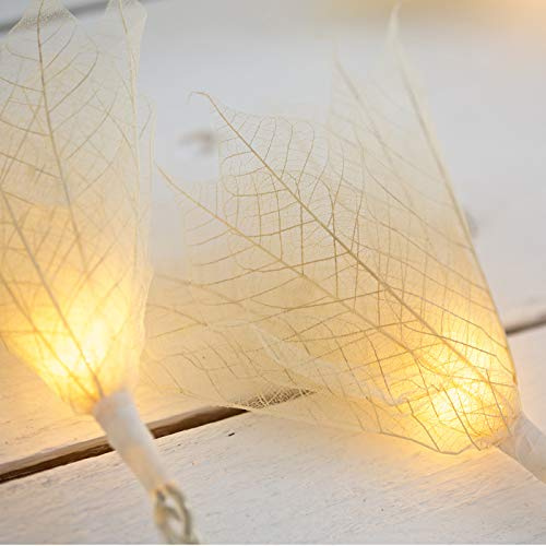Blaze On Natural Leaf Fairy Lights - Cream - 20 LED - USB Plug Included | Handcrafted from Real Rubber Tree Leaves with Warm White LEDs