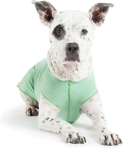 Gold Paw Sonnenschutz-T-Shirt für Hunde, UV-Schutz, Angstlinderung bei Haustieren, Wundschutz, schützt vor Fuchsschwanz, hilft bei Alopezie, maschinenwaschbar, für alle Jahreszeiten, Größe 10