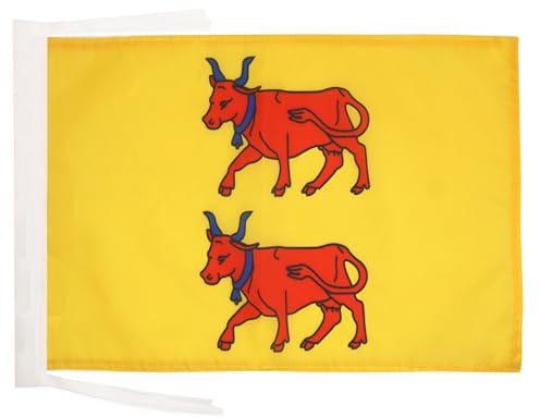 AZ FLAG Drapeau Province du Béarn 45x30 cm Polyester 100D Cordelettes | Usage intérieur et extérieur Drapeau décoratif français coutures doubles et bords renforcés