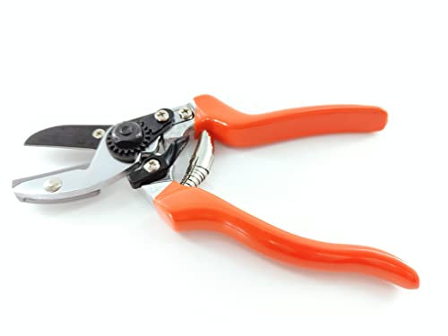 Burgon & Ball GTO/SCA RHS Anvil Secateur