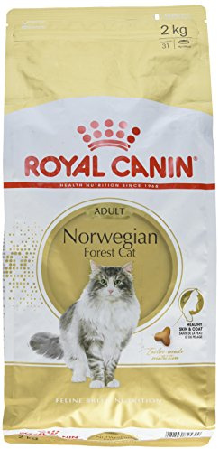 Royal Canin Katzenfutter Norwegische Waldkatze 2 kg, 1er Pack (1 x 2 kg)