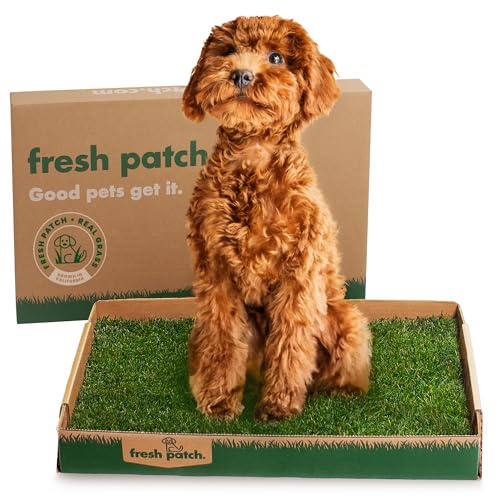 Fresh Patch Real Grass Patch for Dogs, Cats, and Small-Medium Pets Under 15 Pounds – Disposable Pet Grass Pee Pads – Indoor and Outdoor Potty Training Mat (16 Inches x 24 Inches)