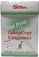 Mint Fresh Zahnpflege Kaugummi 2 x 33 gr