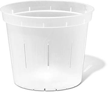 rePotme Maceta ranurada de 6 Pulgadas para orquídeas, suculentas, Plantas de Interior, Paquete de 3, Transparente