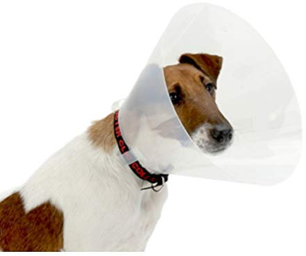 Croci Collare Elisabettiano per cani taglia S, Collare Elisabetta a cono per la protezione e cura di cani e gatti, previene graffi, morsi e leccate, 12,5 cm