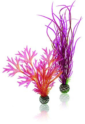 biOrb Juego de plantas de color rojo y rosa en tamaño M